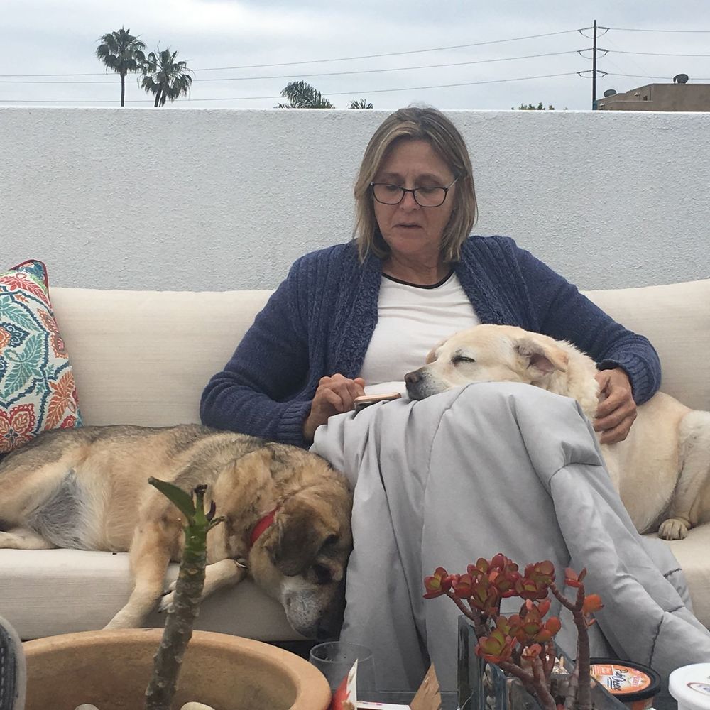 Meet your Posher, Susan